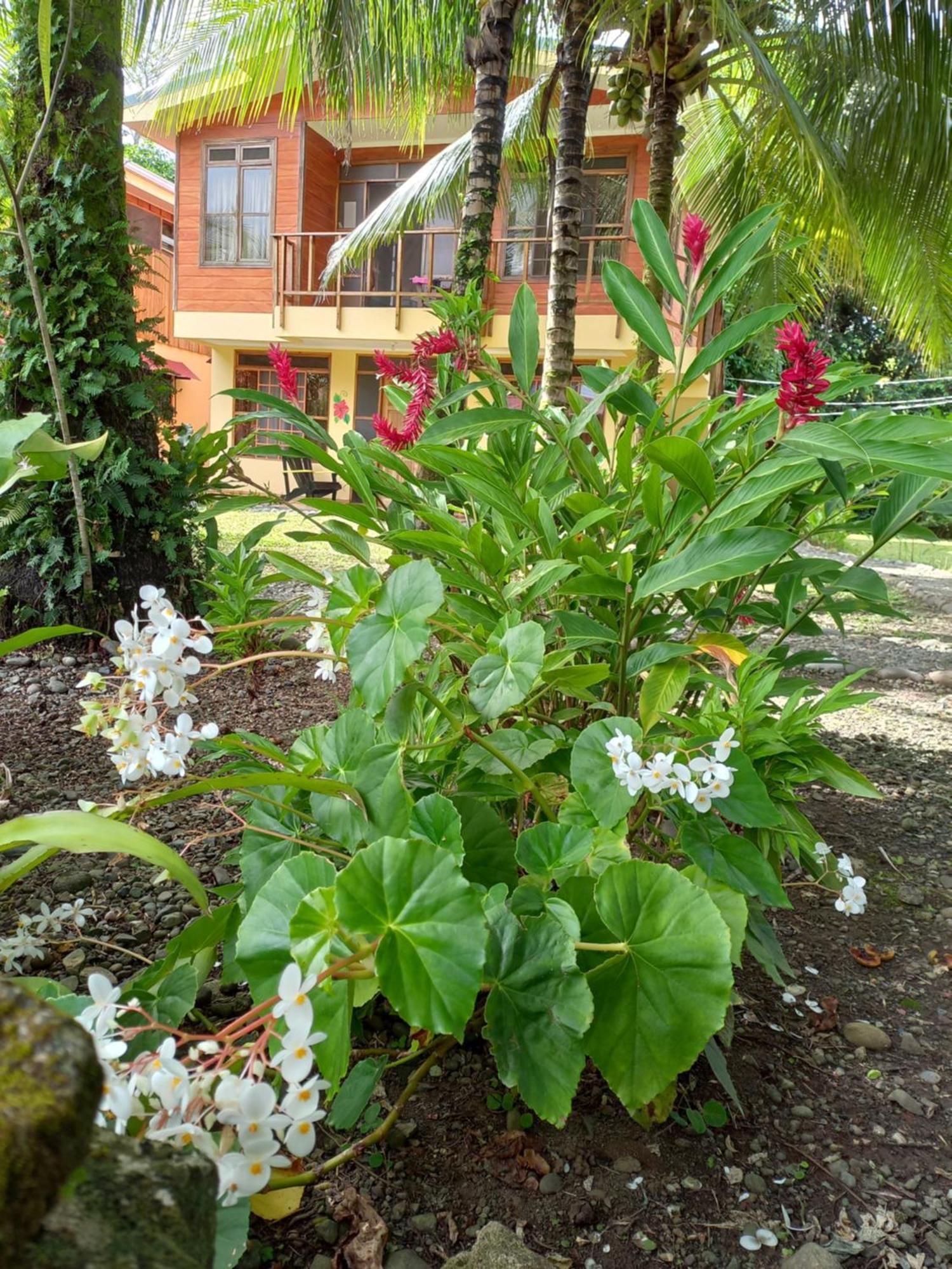 Aparthotel Babilonia à Cahuita Extérieur photo