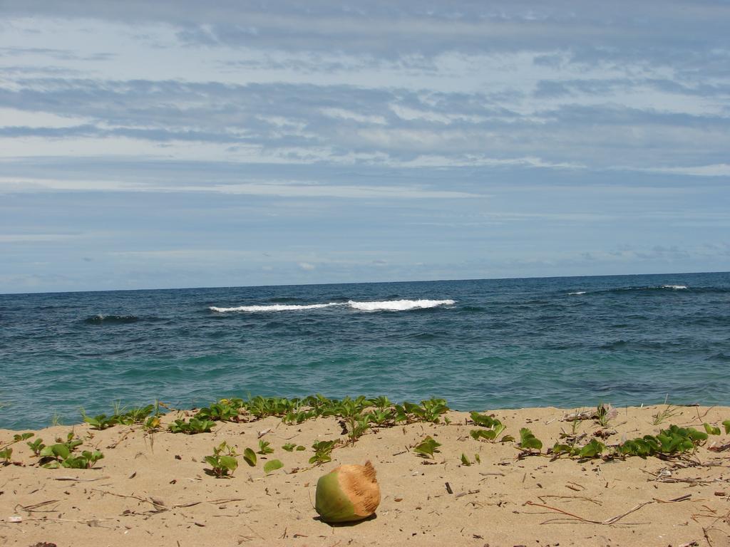 Aparthotel Babilonia à Cahuita Extérieur photo