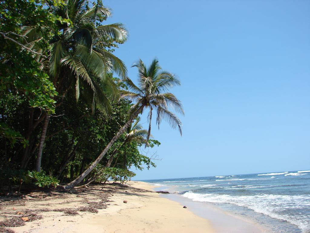 Aparthotel Babilonia à Cahuita Extérieur photo