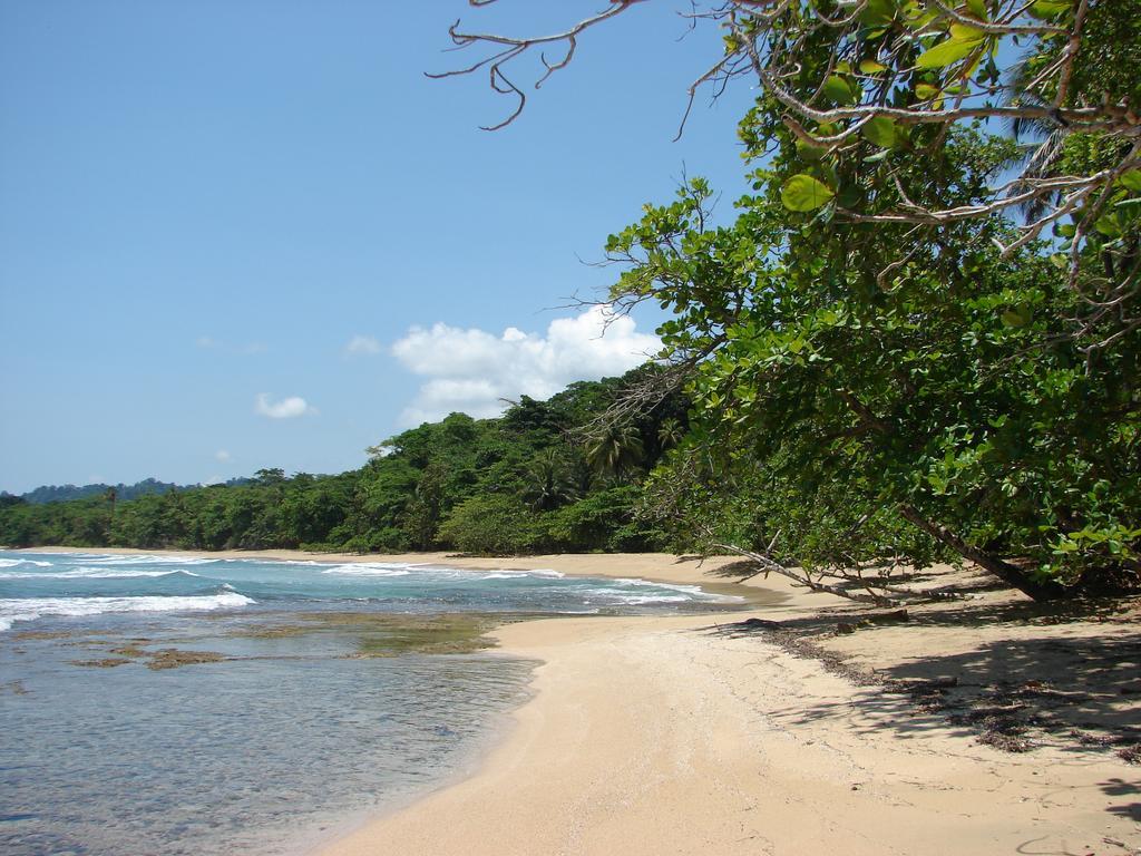 Aparthotel Babilonia à Cahuita Extérieur photo