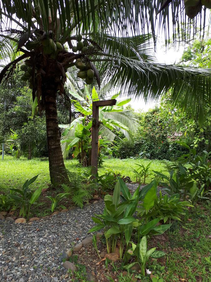 Aparthotel Babilonia à Cahuita Extérieur photo