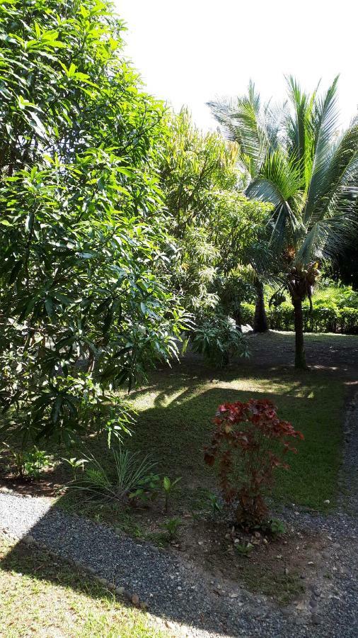 Aparthotel Babilonia à Cahuita Extérieur photo